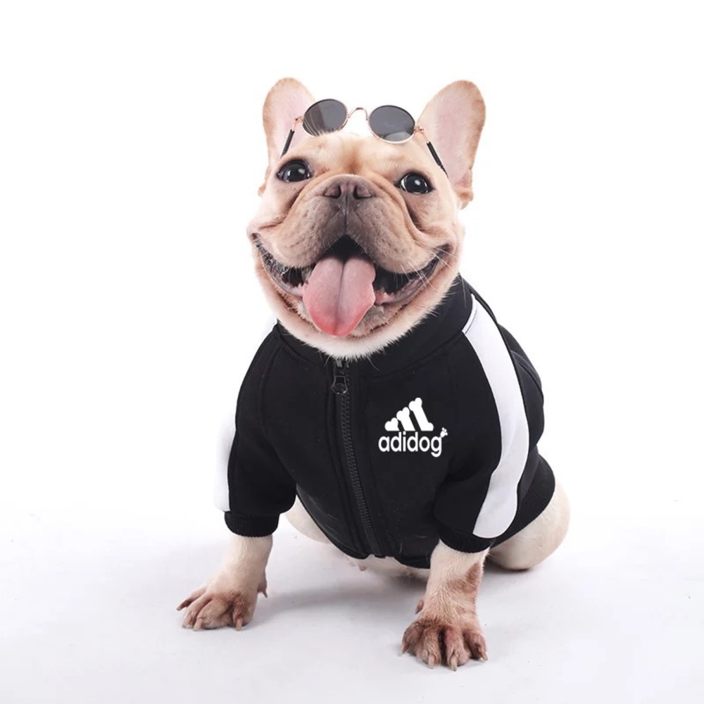 Adidog Black Jacket - Picture 1 of 8